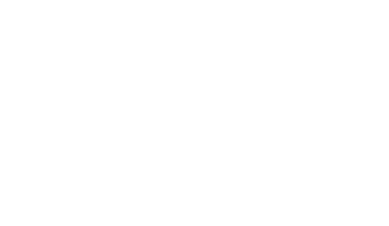 Hasso Plattner Institute